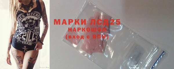 PSILOCYBIN Инсар