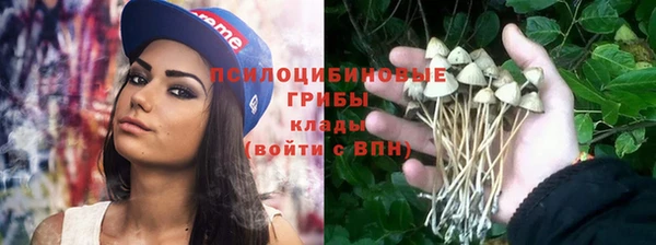 прущий лед Алексин