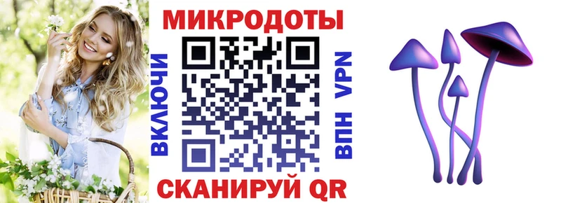 Псилоцибиновые грибы прущие грибы  Ардатов 