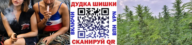 цена   Ардатов  Бошки марихуана сатива 